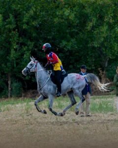 WhatsApp Image 2025-10-14 at 12.47.15 PM - عروبة الاخباري | Oroba News