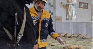 579969414334 - عروبة الاخباري | Oroba News