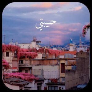 WhatsApp Image 2026-04-14 at 114837 AM1 - عروبة الاخباري | Oroba News