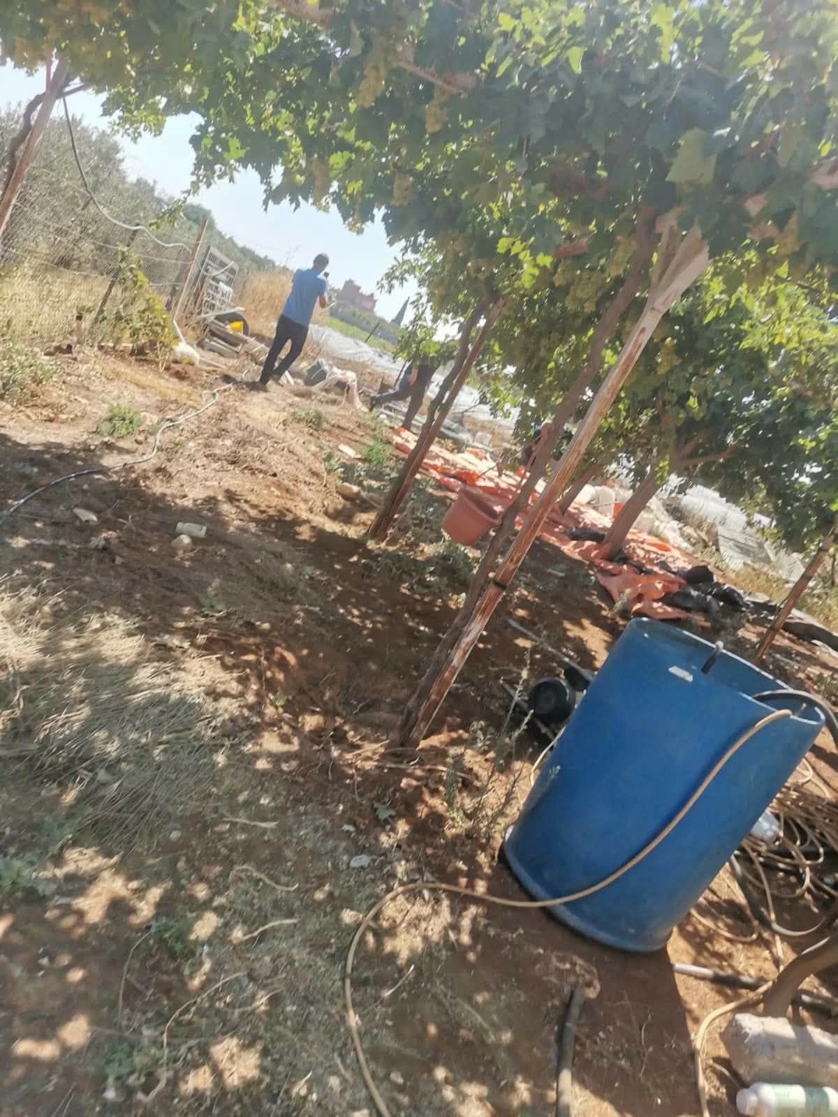 Construction site outdoors under a leafy canopy, workers handling materials and hoses on dusty ground near orange tarps and poles.