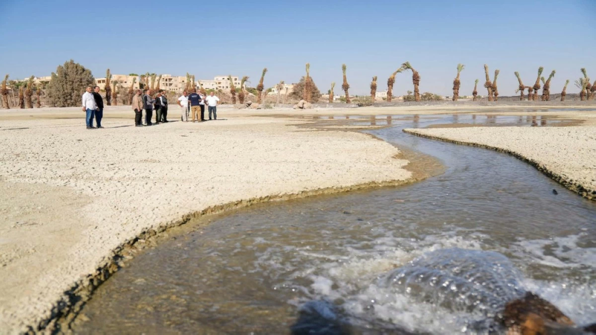 Group of people standing on a sandy, dry riverbed beside a narrow, meandering stream under a clear blue sky with palm trees in the background.